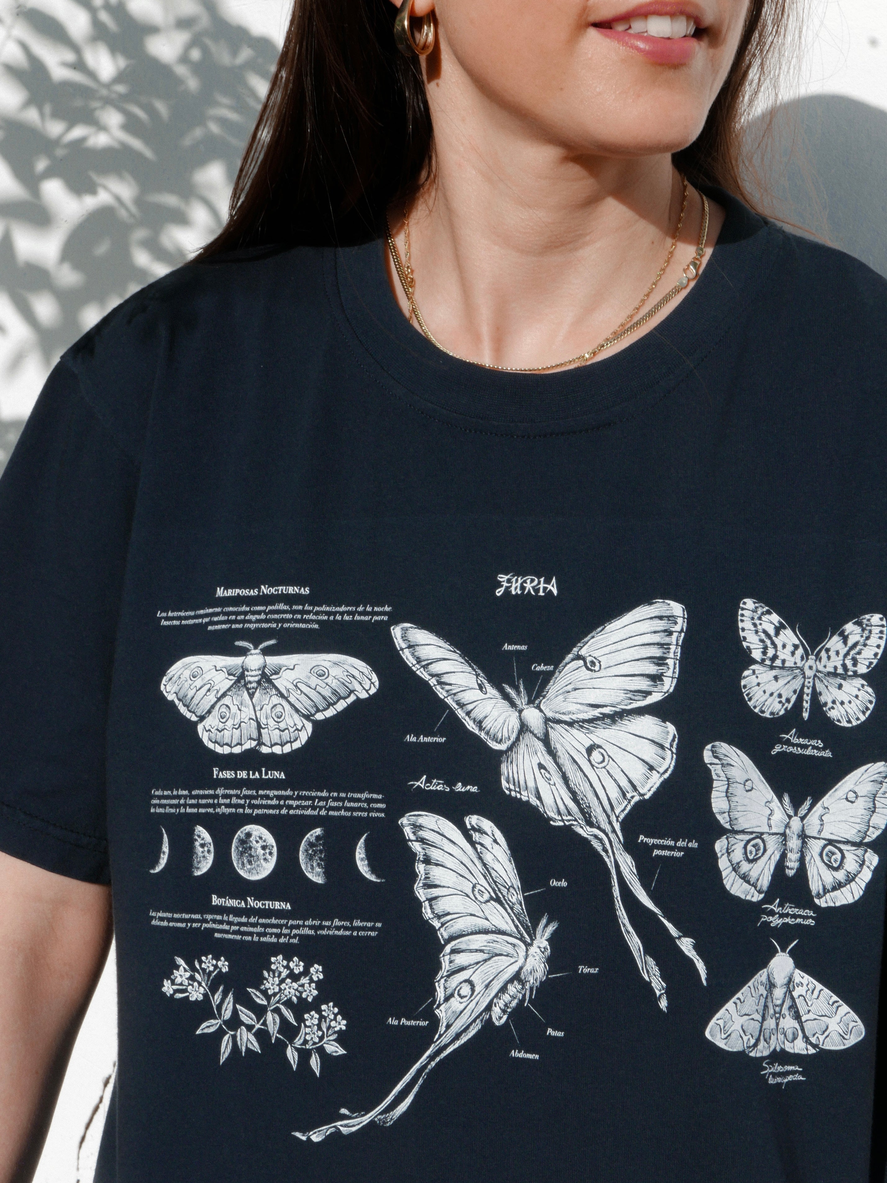 Mariposas nocturnas ®
