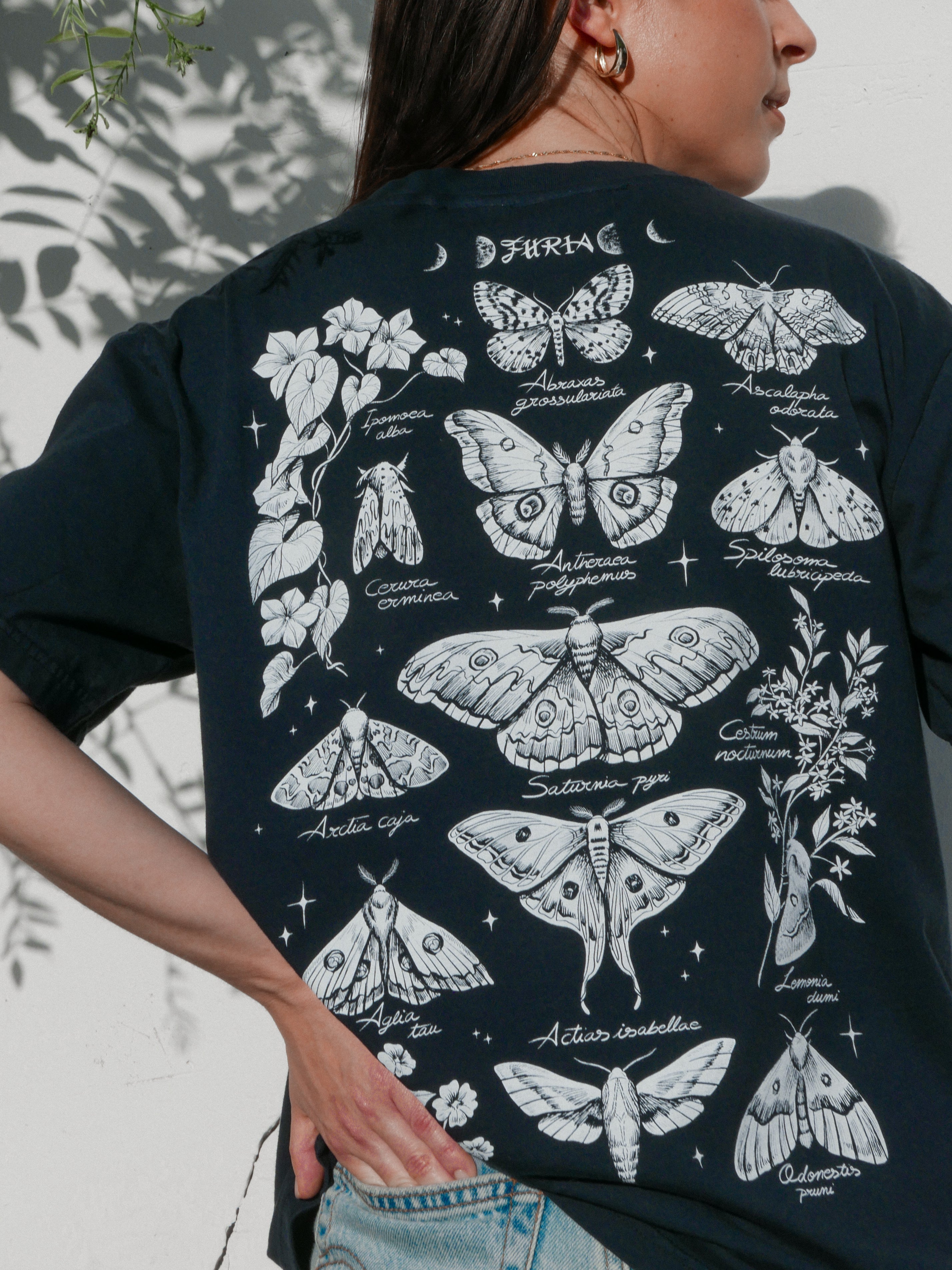 Mariposas nocturnas ®