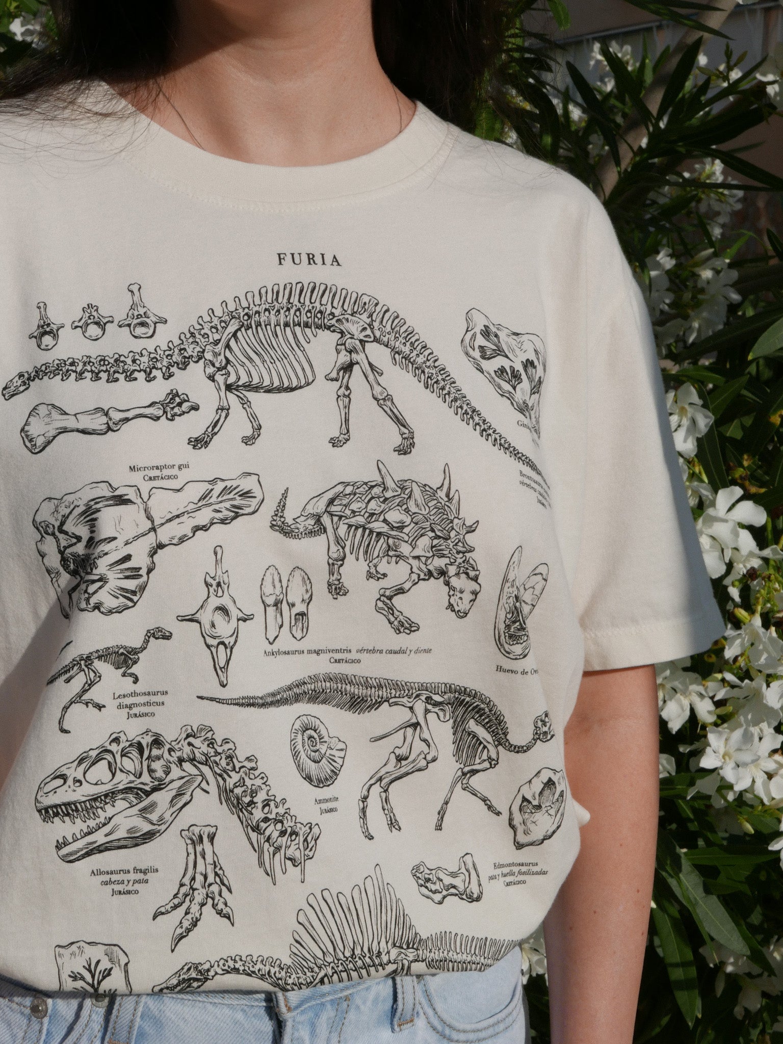 Dinosaurios®
