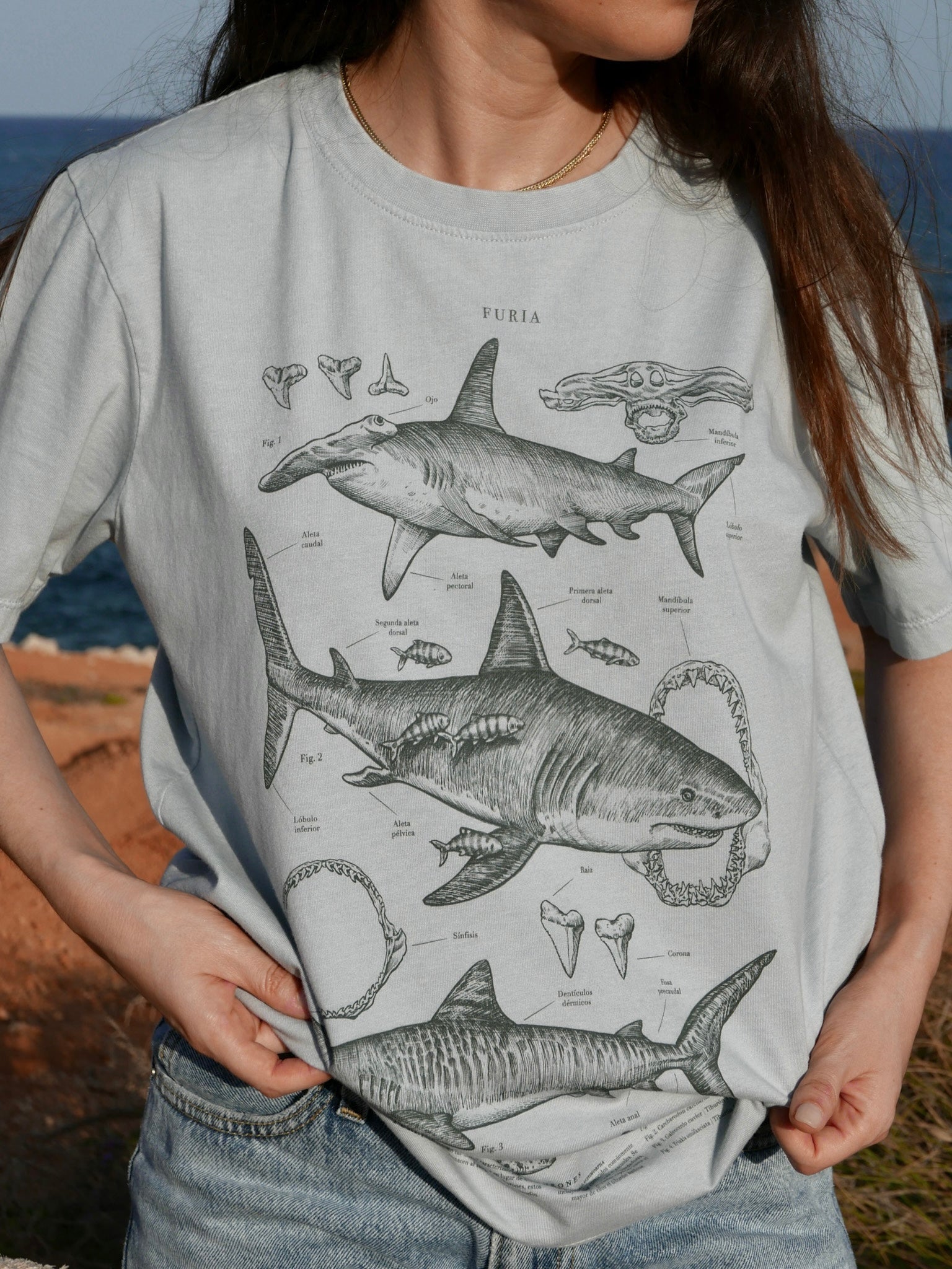 Tiburones ®