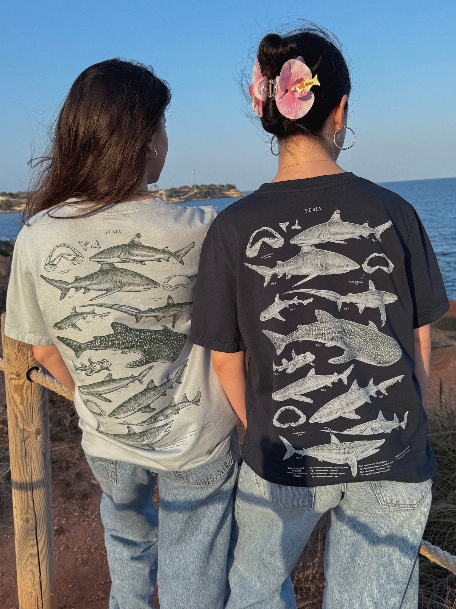 Deep Oceans ®
