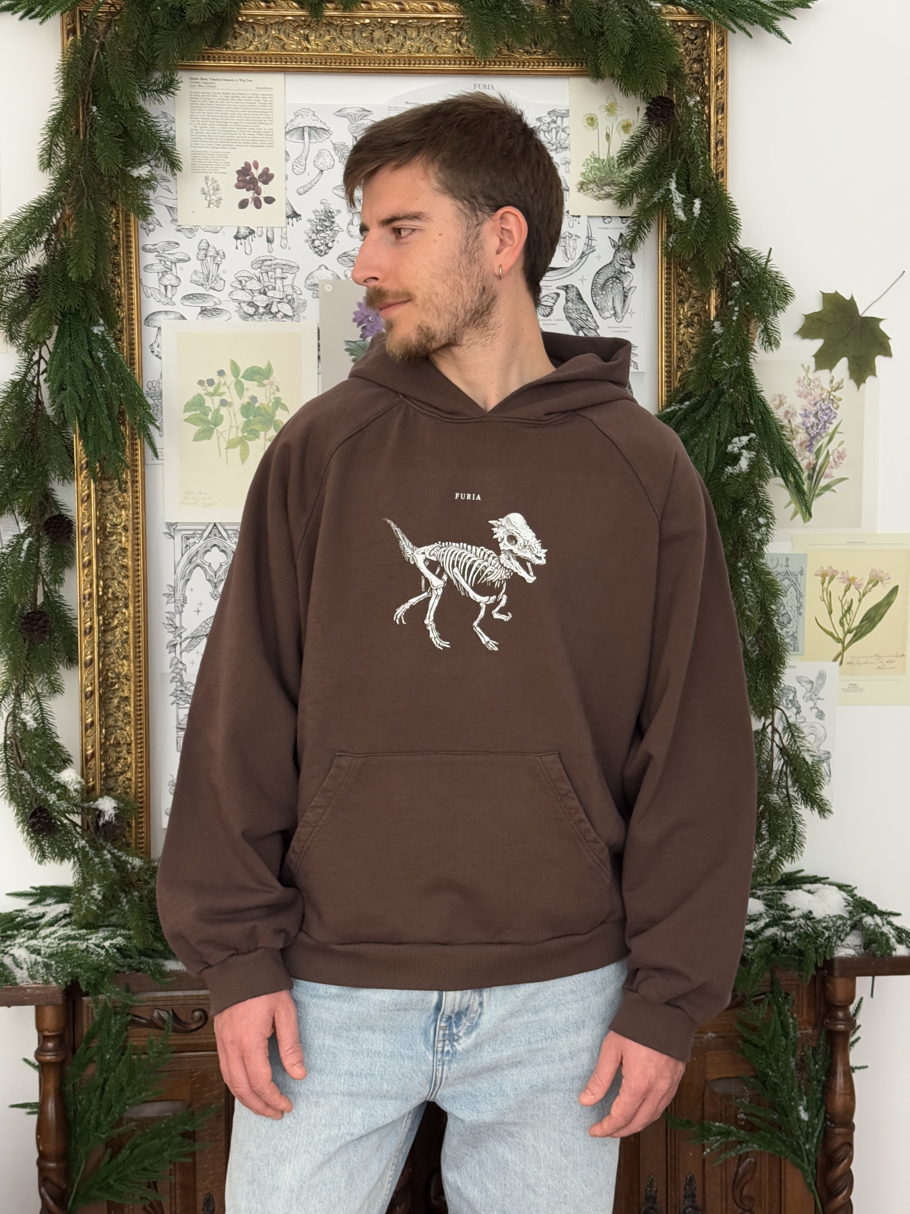 Hoodie Dinosaurios©