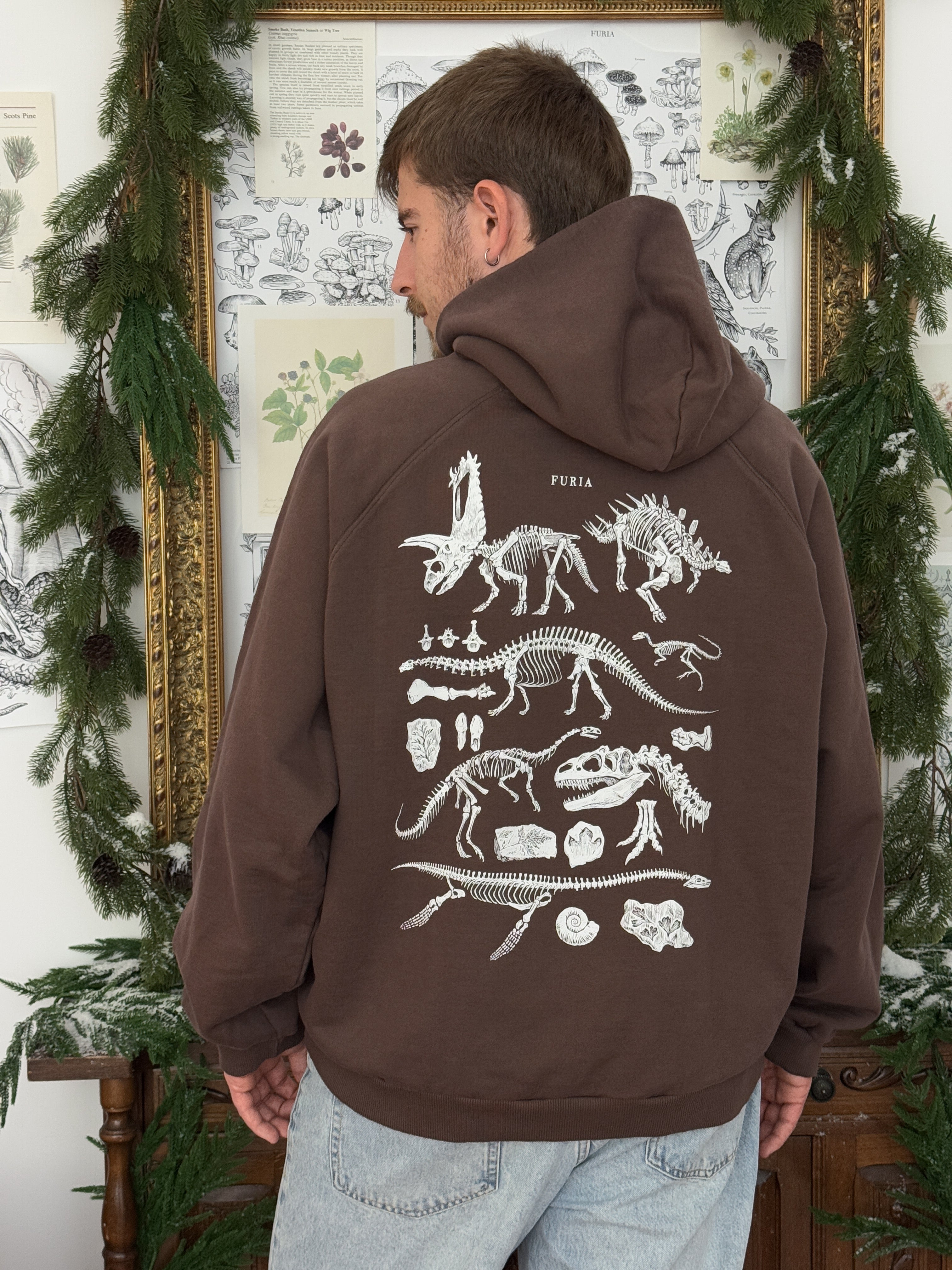 Hoodie Dinosaurios©