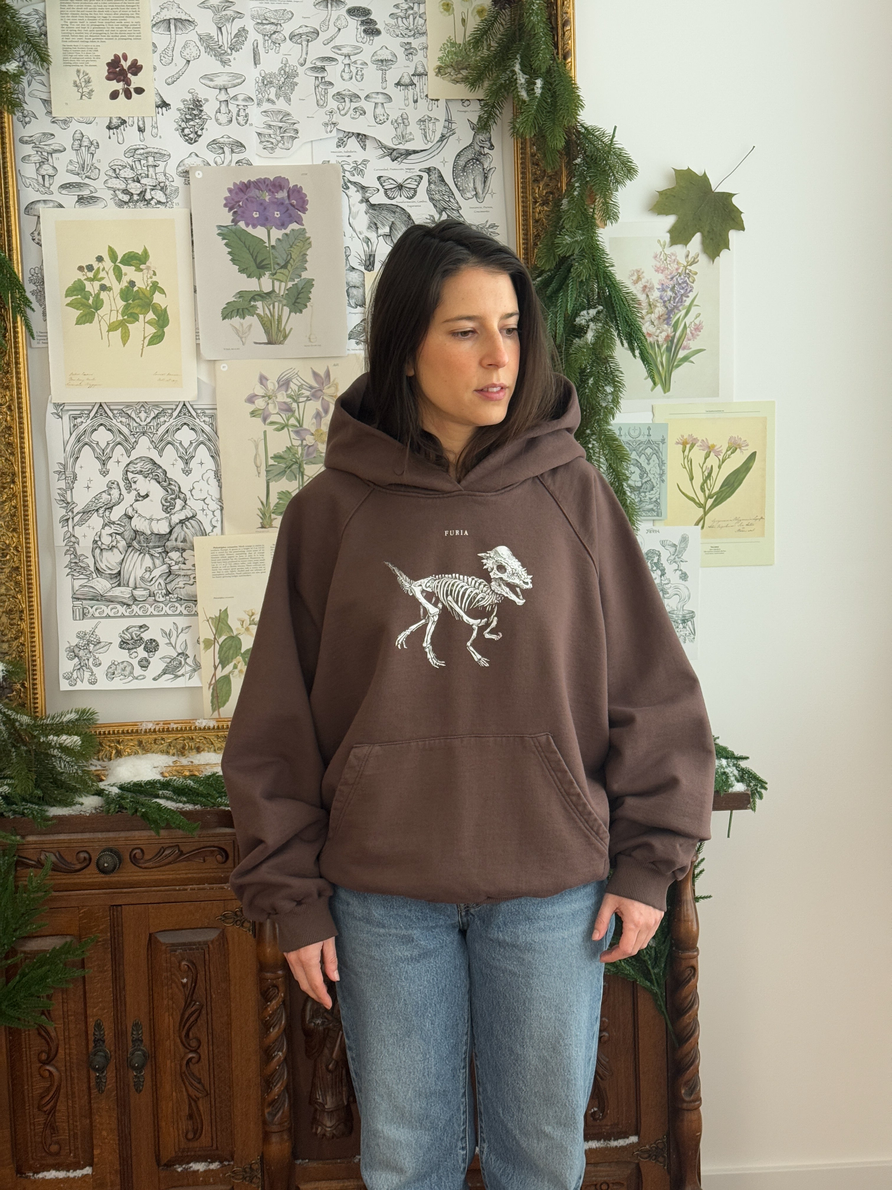Hoodie Dinosaurios©