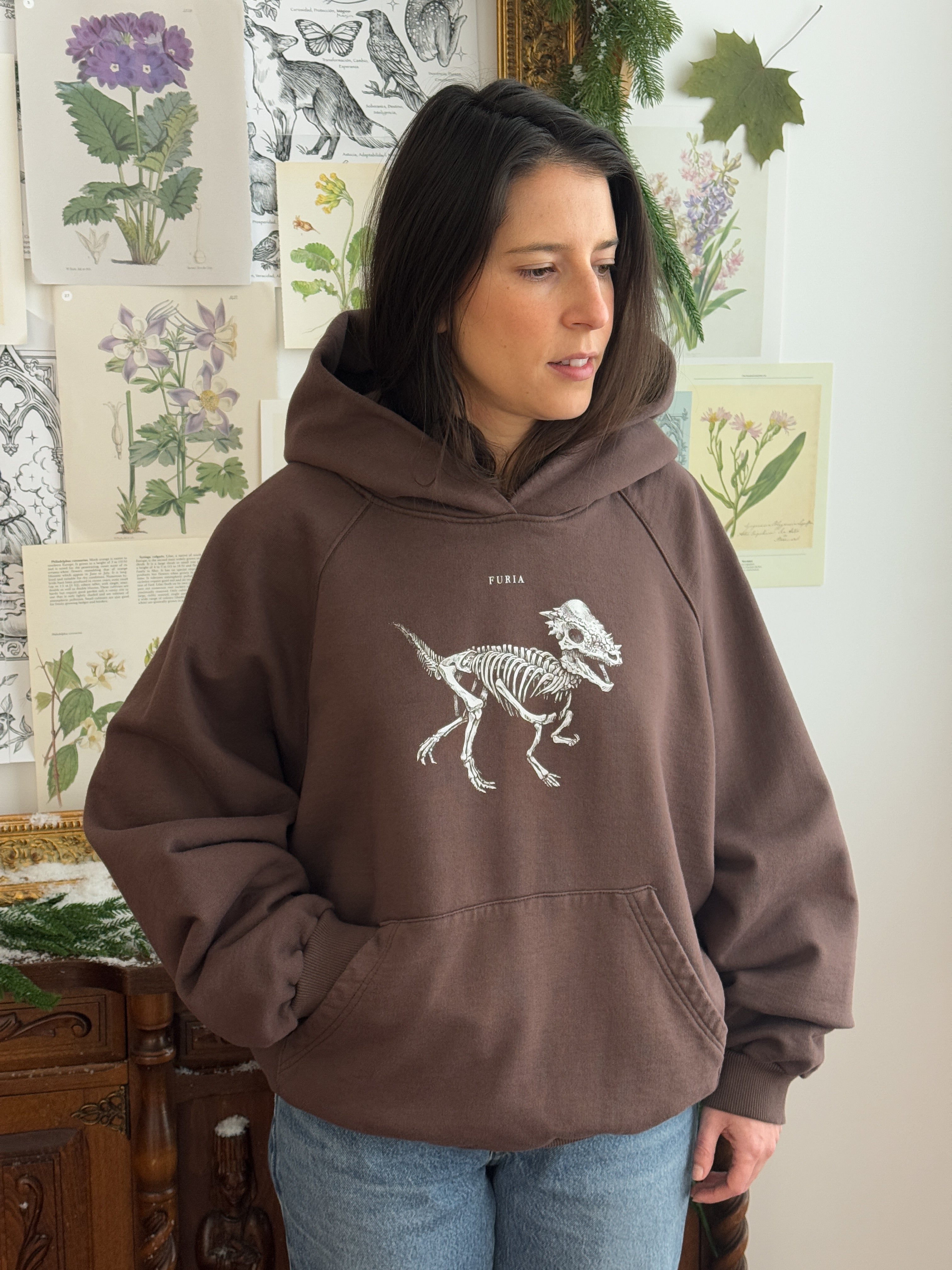 Hoodie Dinosaurios©