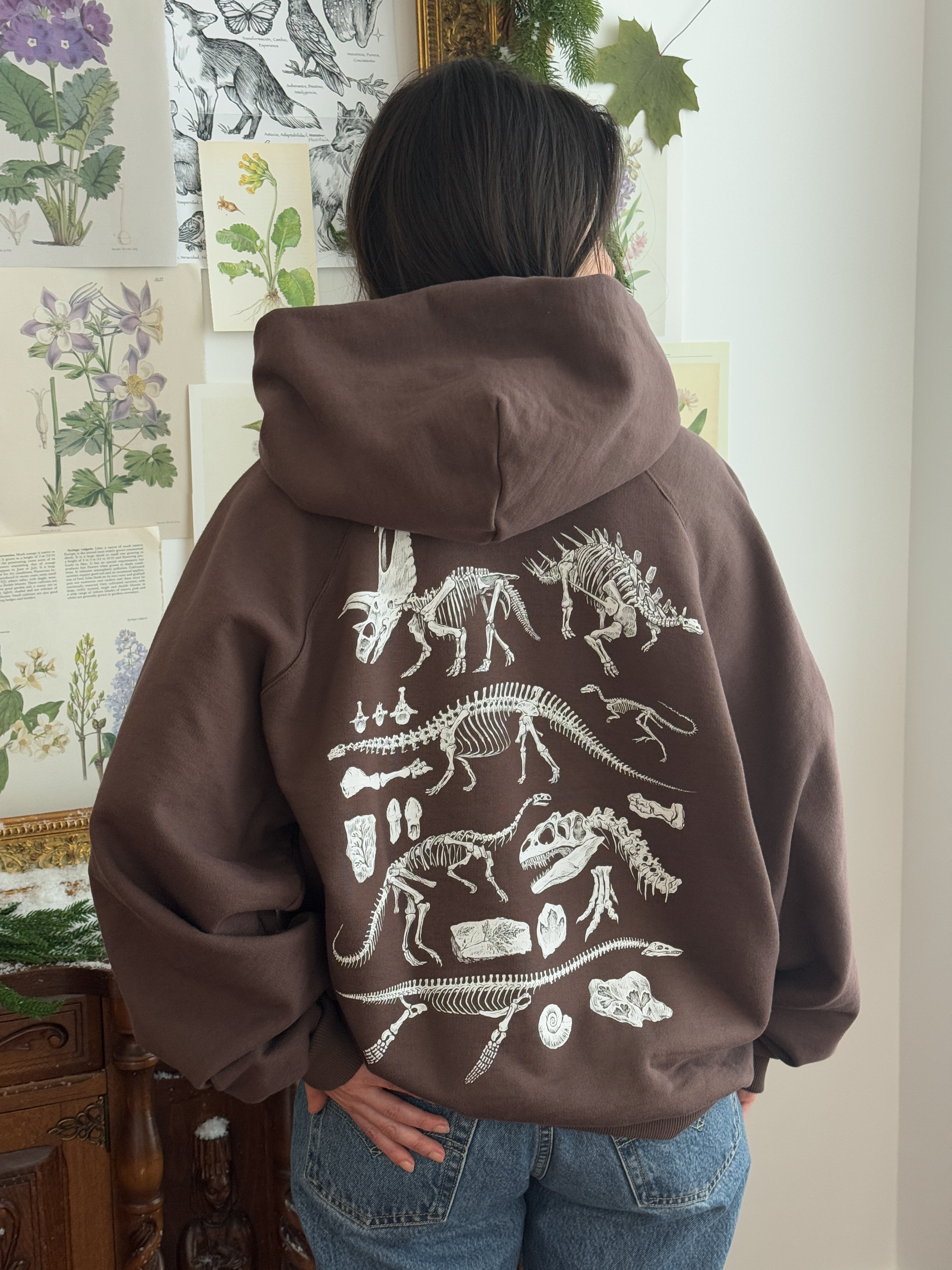 Hoodie Dinosaurios©