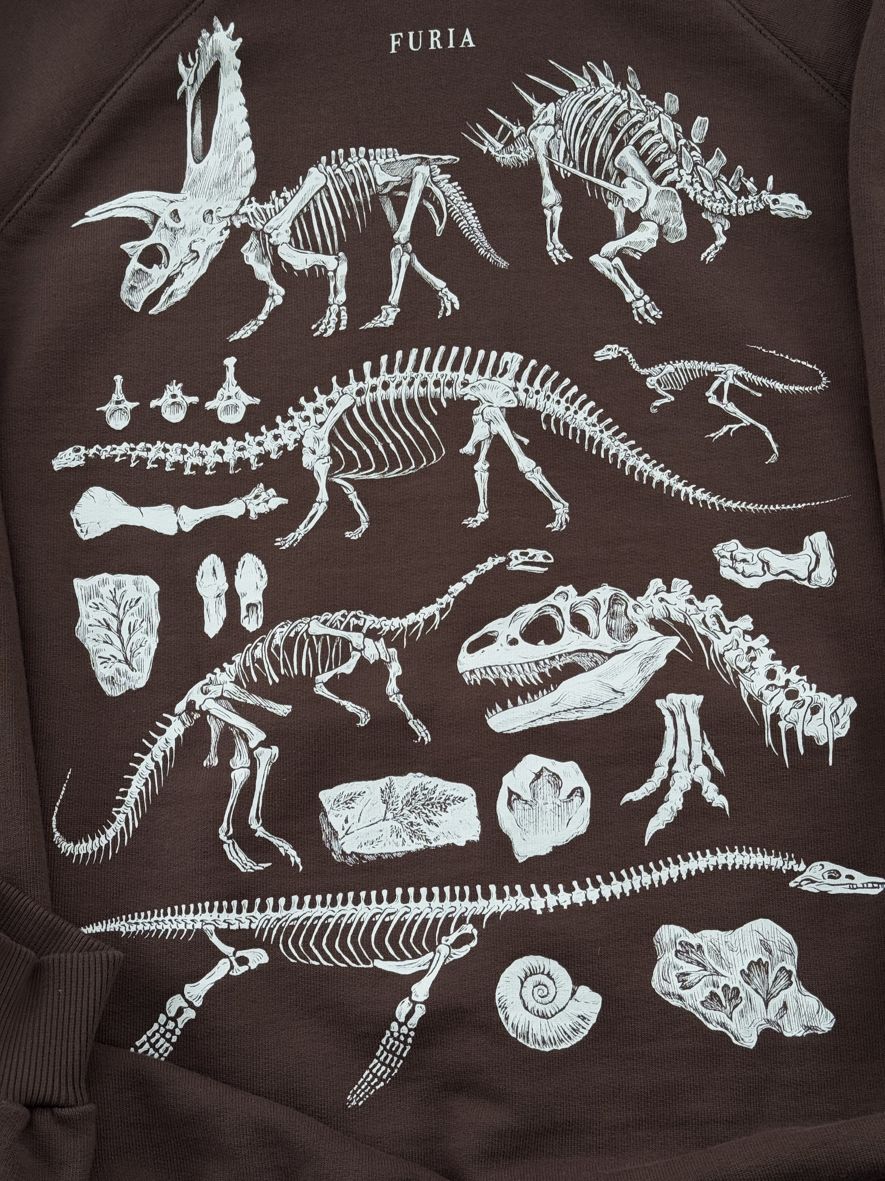 Hoodie Dinosaurios©