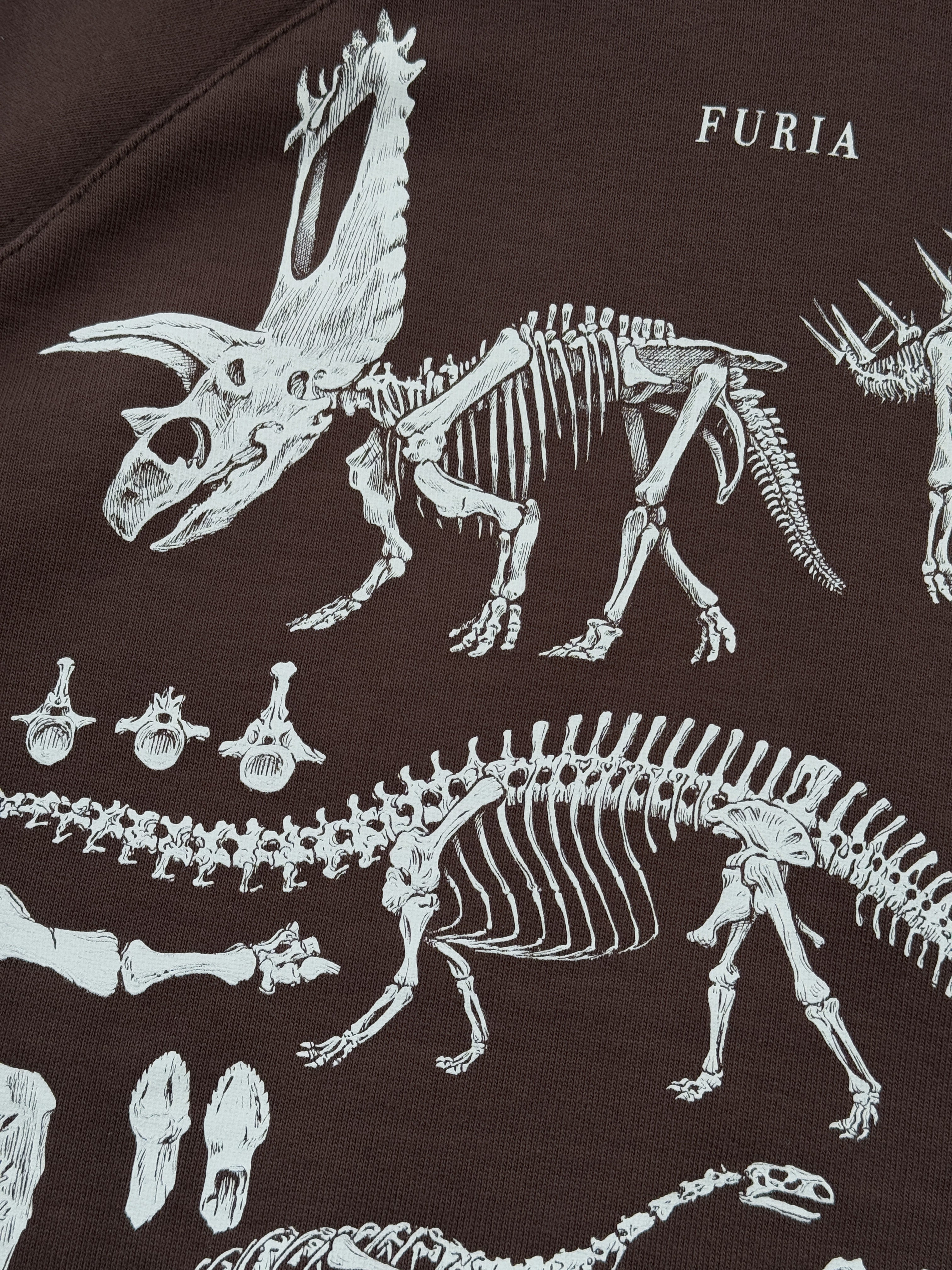 Hoodie Dinosaurios©