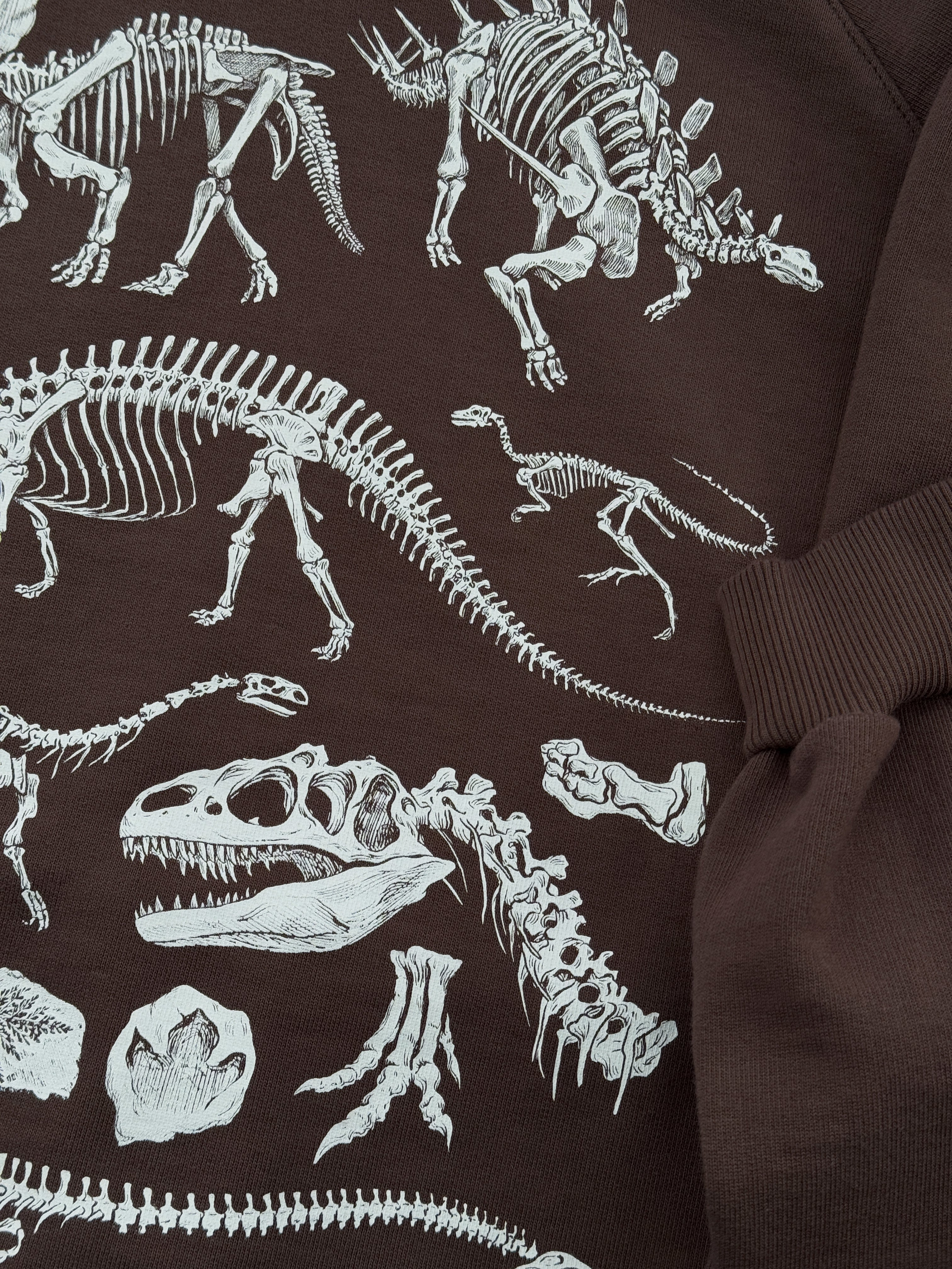 Hoodie Dinosaurios©