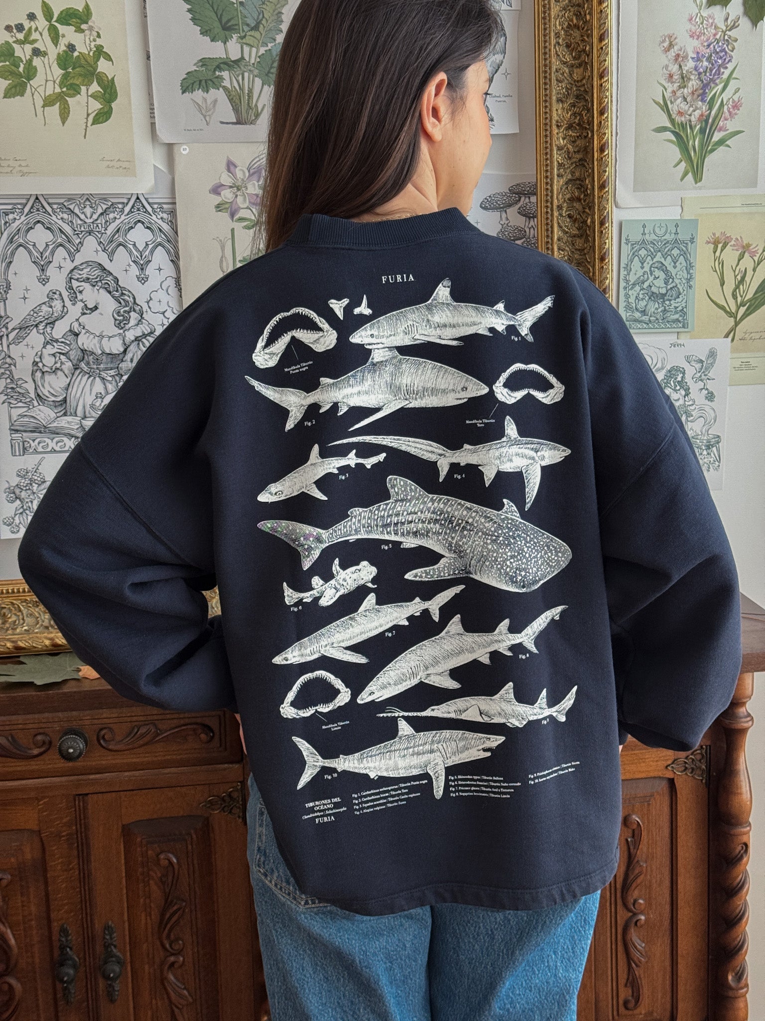 Sudadera Tiburones©