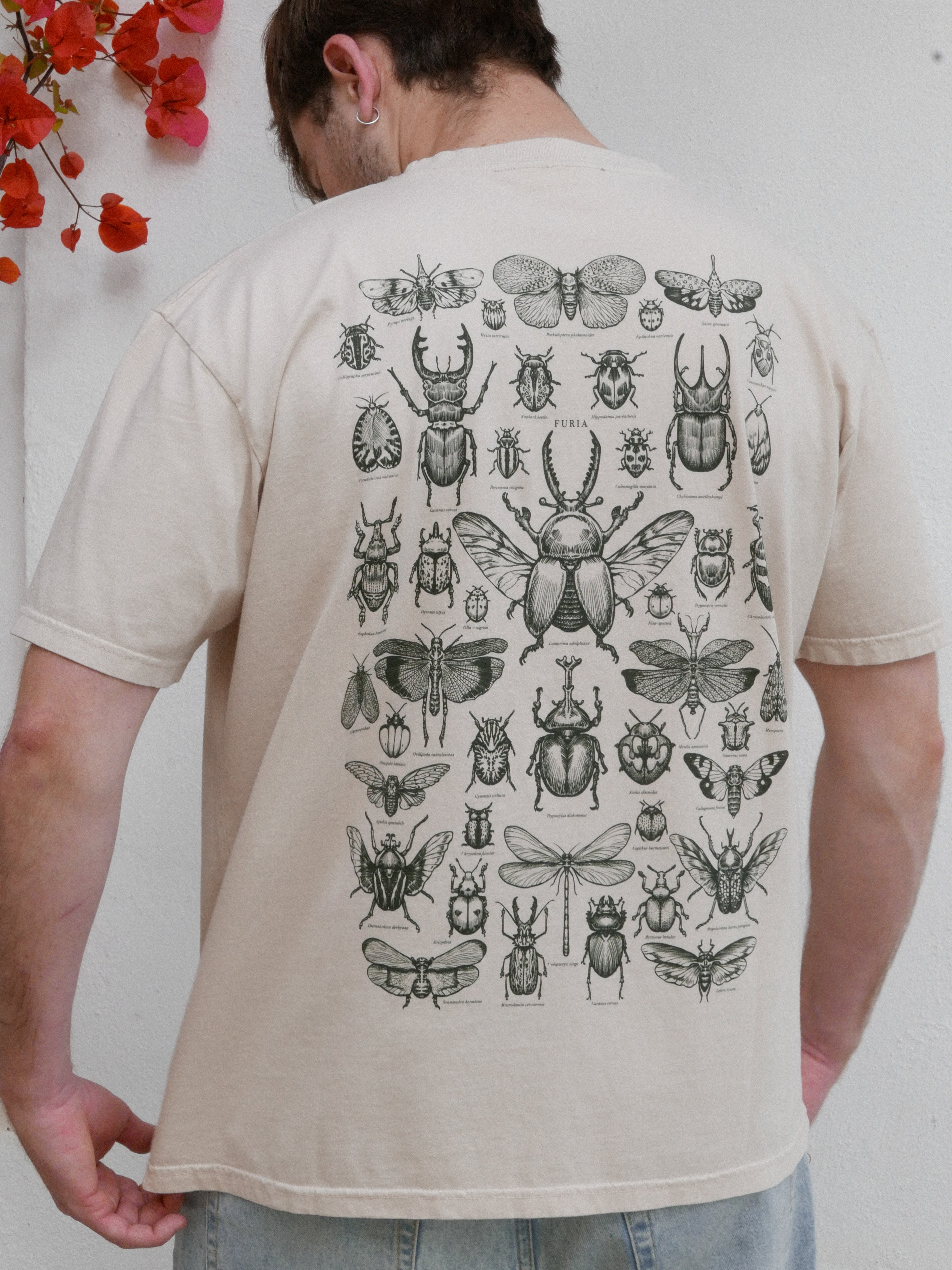 Entomología ®