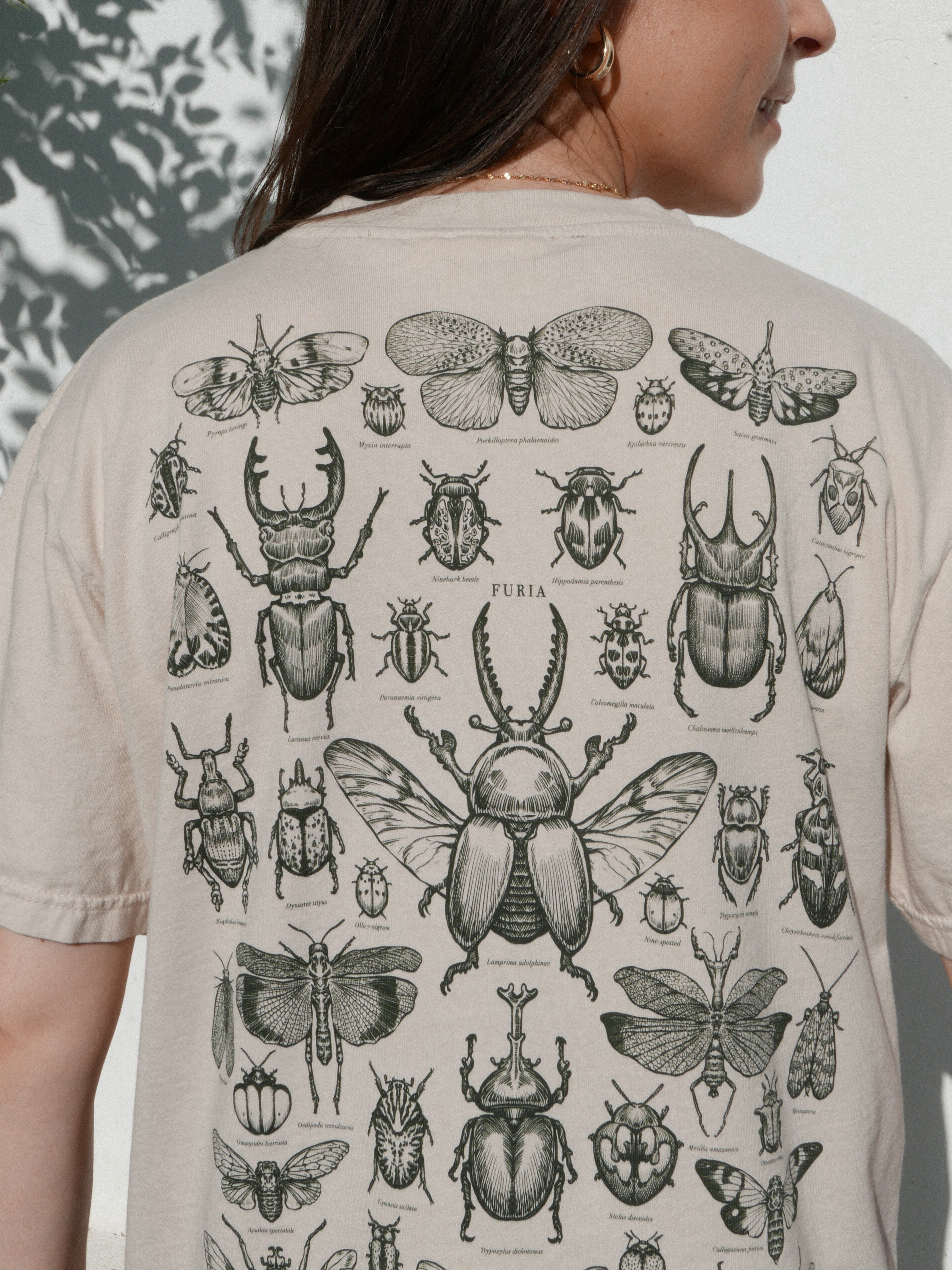 Entomología ®