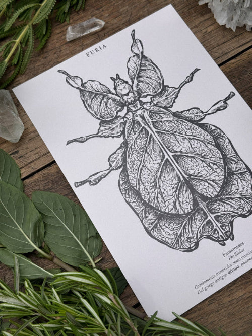 Pack Print Entomología®