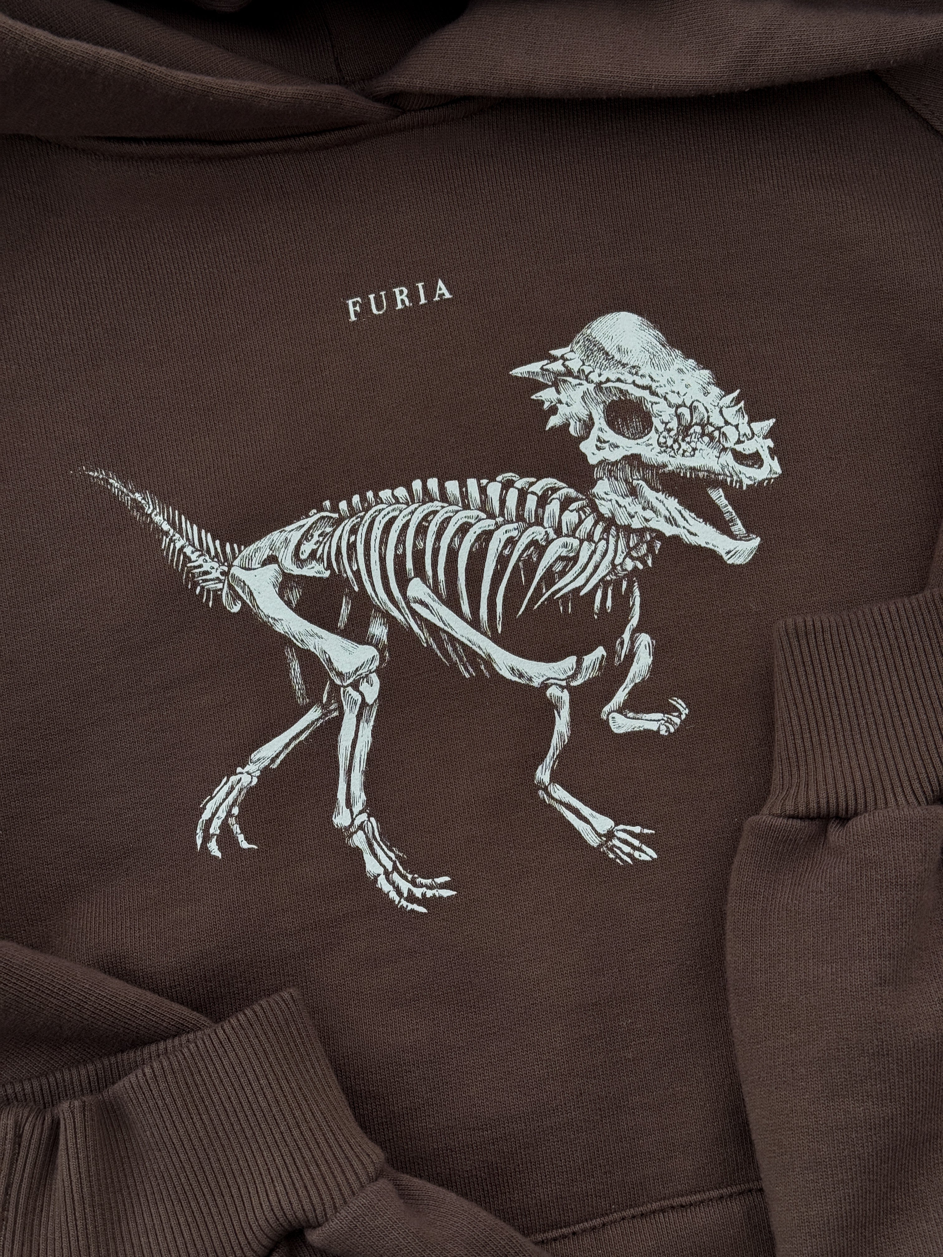 Hoodie Dinosaurios©