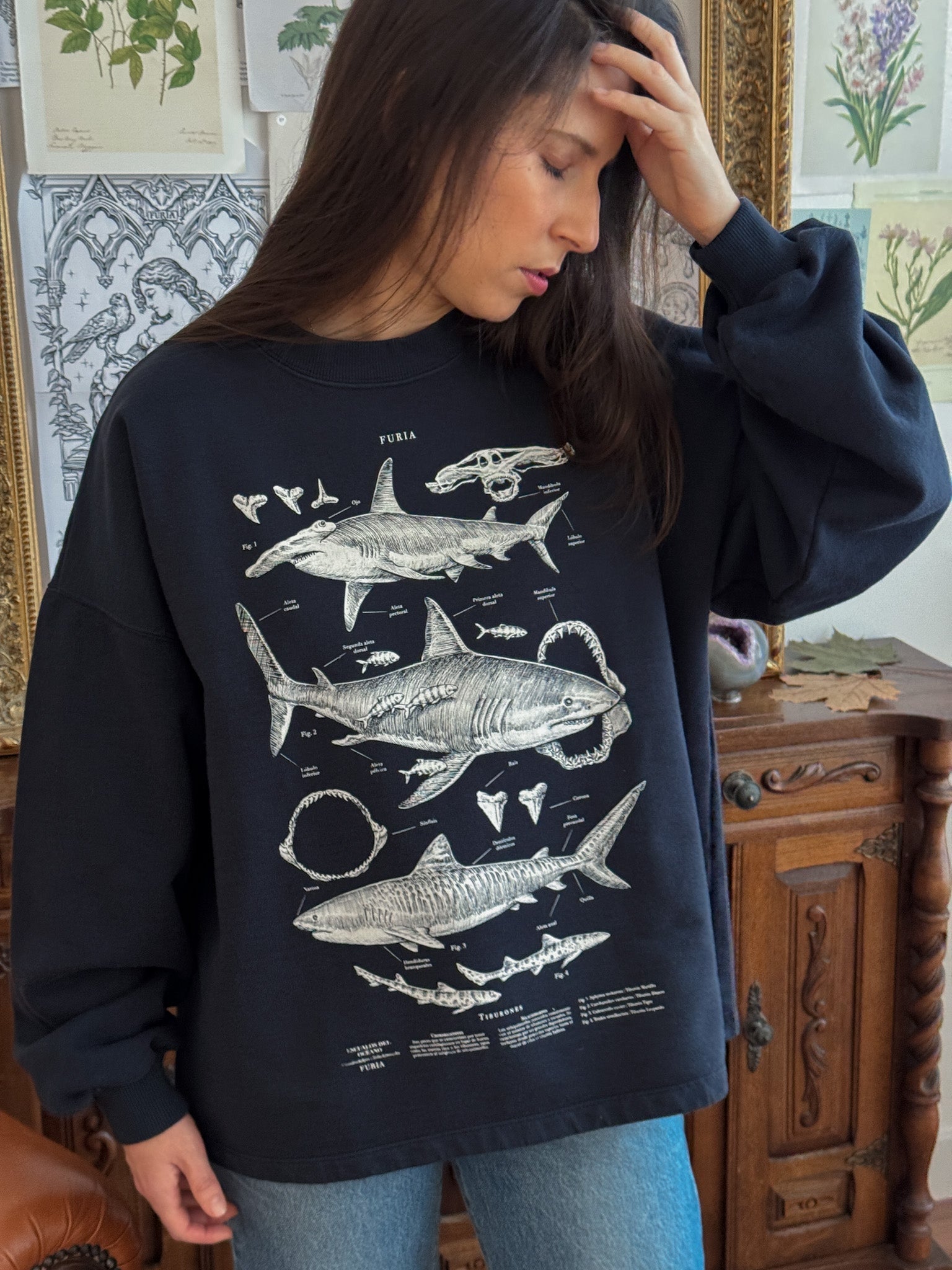 Sudadera Tiburones©